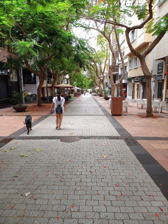 Center Santa Cruz, Alojamiento Centrico Con Gran Terraza, Cocina , Salon Y Banos, Todo Privado Luaran gambar