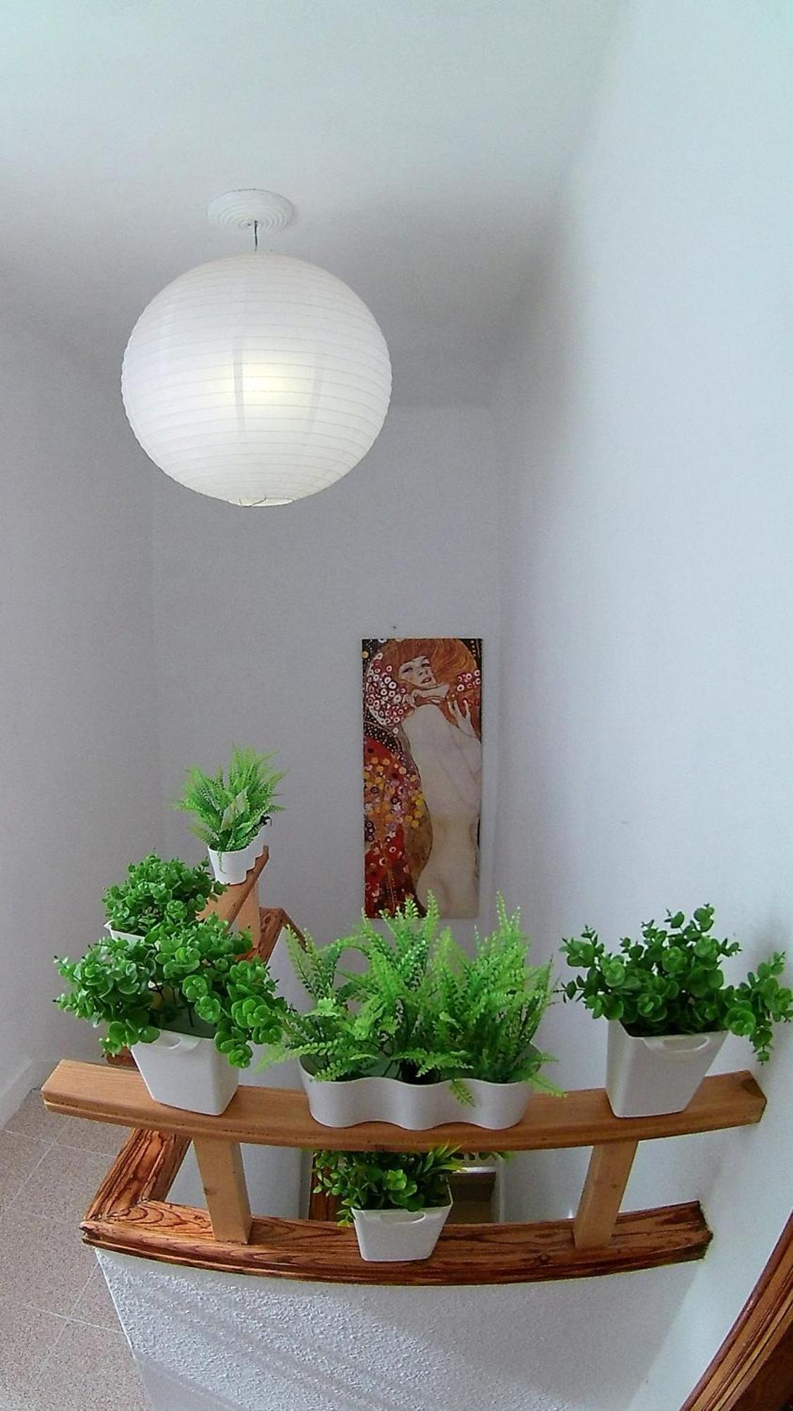 Center Santa Cruz, Alojamiento Centrico Con Gran Terraza, Cocina , Salon Y Banos, Todo Privado Luaran gambar